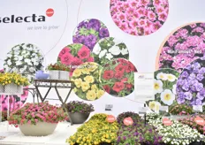 Selecta showed several new series. Among them was the Mini Famous Oro. It is a compact tabletop model. No inhibitors needed. A true double-flowered, compact and uniformly growing Calibrachoa. The new series is available in five colors.